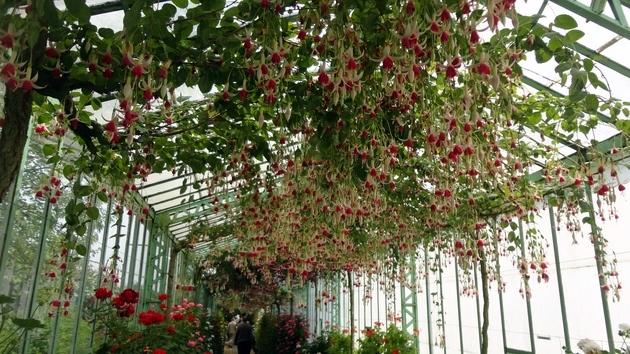 Invernaderos Reales de Laeken - Bruselas