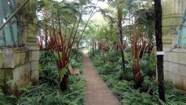 Invernaderos Reales de Laeken - Bruselas