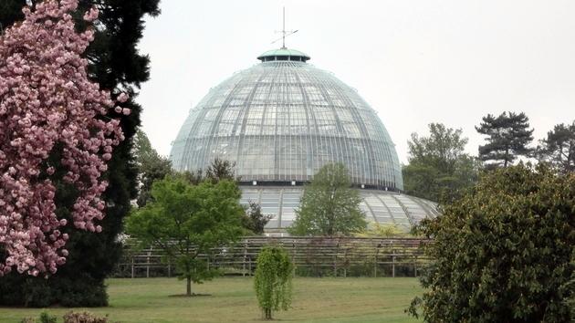 Invernaderos Reales de Laeken - Bruselas