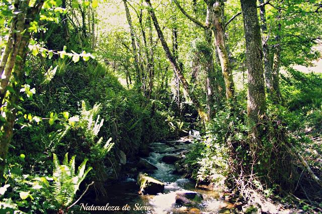 Por los valles del Narcea y Degaña