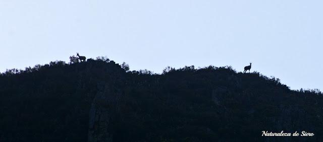 Por los valles del Narcea y Degaña