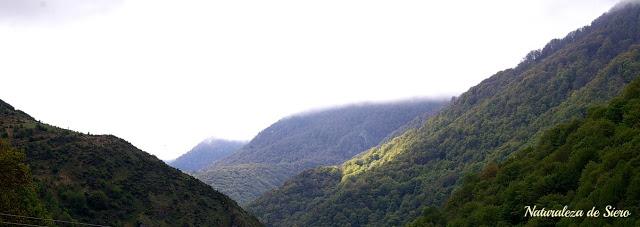 Por los valles del Narcea y Degaña