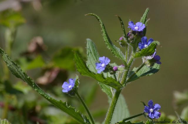 Por los valles del Narcea y Degaña