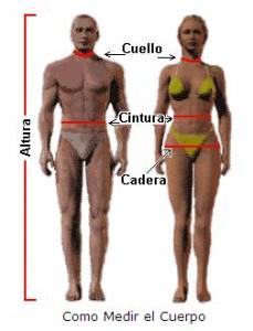 dieta7 229x300 ¿Cuántas proteínas y grasas necesita el cuerpo a diario?