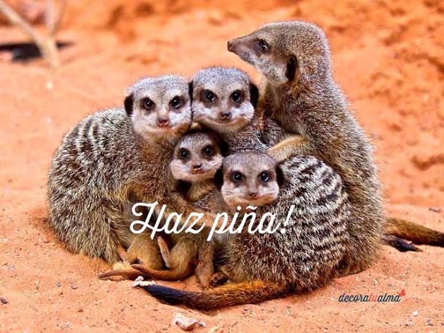 Proyectos de trabajo - proyectos de vida