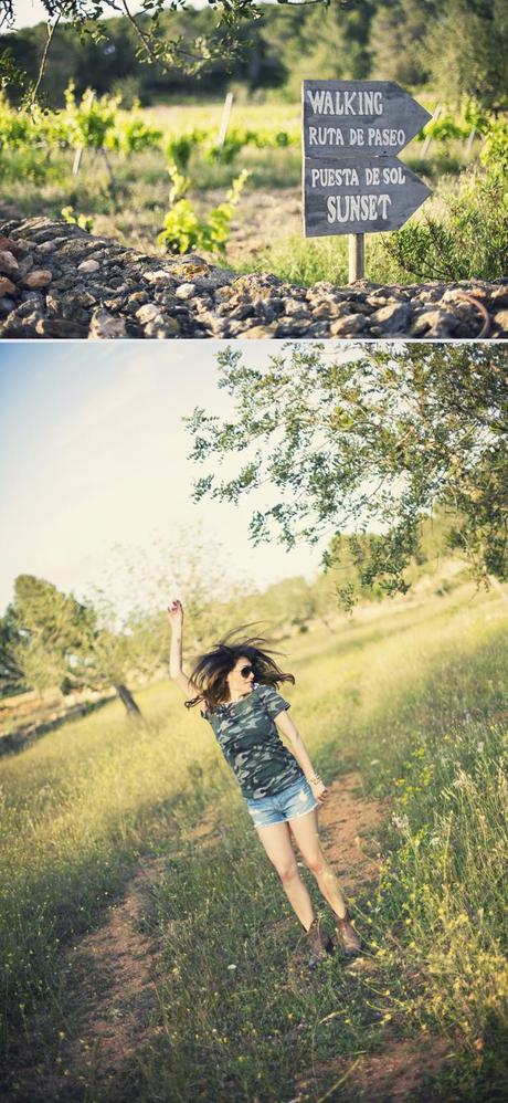 spring field spring field