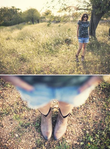 spring field spring field