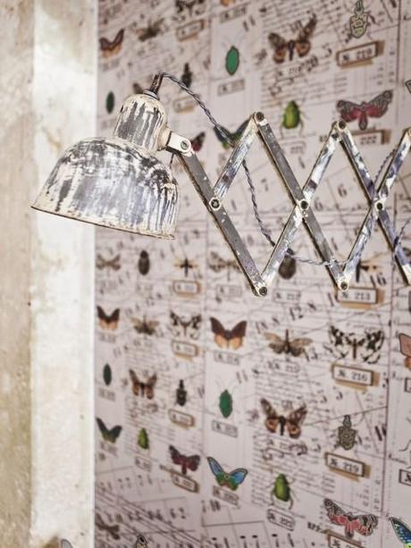 Espléndido Dirty Chic en París