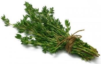 Hierbas con propiedades expectorantes