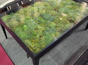 Design Dilema...¿Mesa Jardín interior?