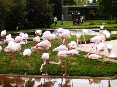 Un día en Wilhelma Zoo-Stuttgart (parte 2)