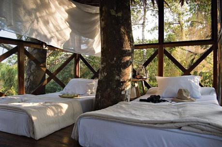 18 Casas en los Árboles que te Harán Soñar 12 1671583 slide va tree houses 12 18 Casas en los Árboles que te Harán Soñar