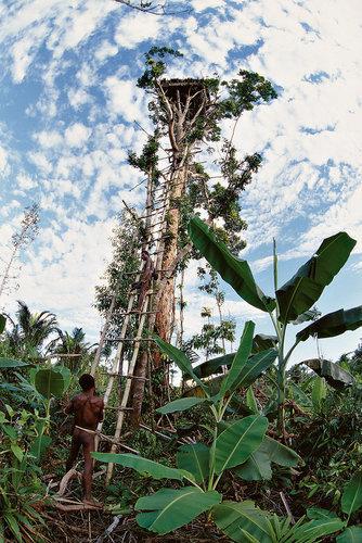 18 Casas en los Árboles que te Harán Soñar 5 1671583 slide va tree houses 05 18 Casas en los Árboles que te Harán Soñar