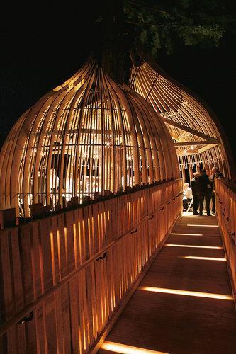 18 Casas en los Árboles que te Harán Soñar 15 1671583 slide va tree houses 15 18 Casas en los Árboles que te Harán Soñar