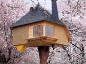 Casas Árboles Harán Soñar