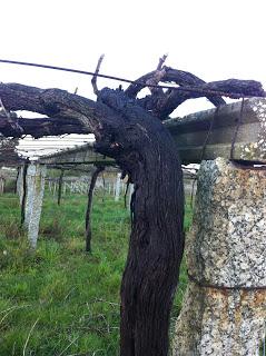 El alma y los males necesarios.