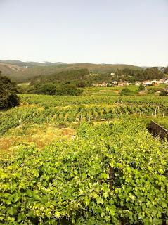 El alma y los males necesarios.