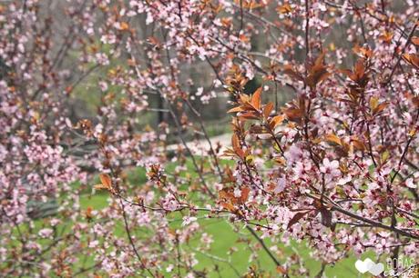 Invitaciones-boda-campestre-Bodas-de-Cuento-wedding- planners Invitaciones-boda-campestre-Bodas-de-Cuento-wedding- planners