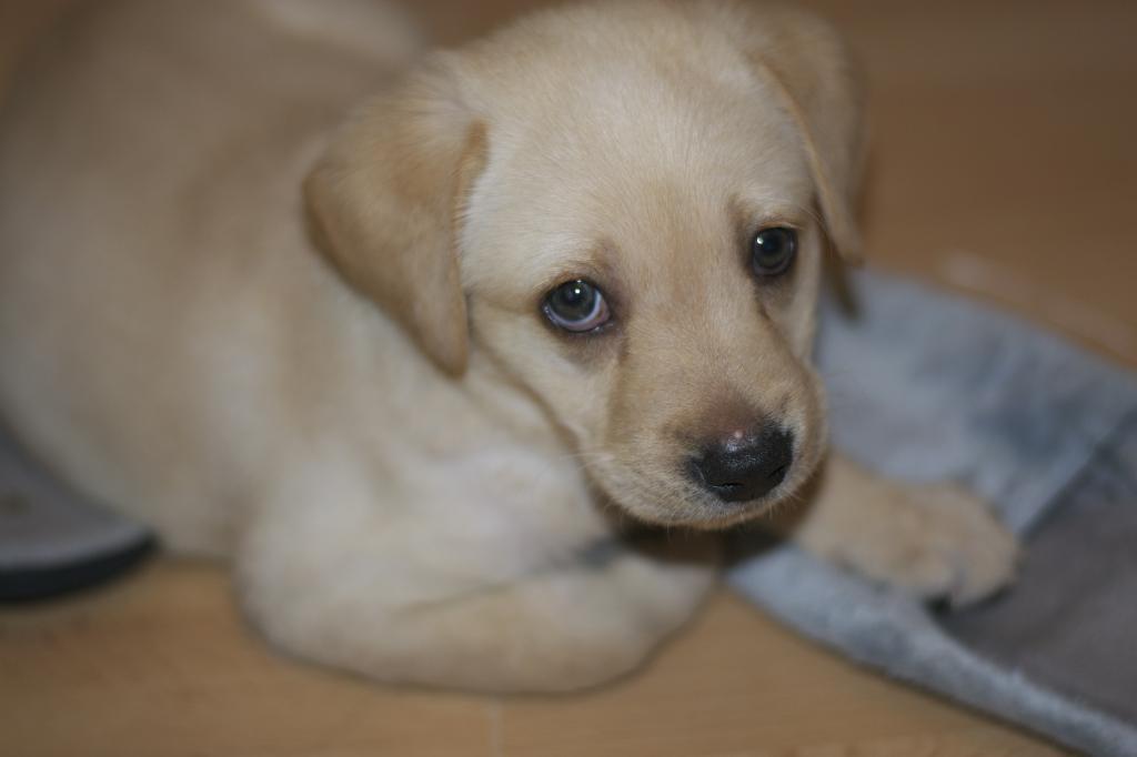  photo DSC_0263_zps72a5134a.jpg