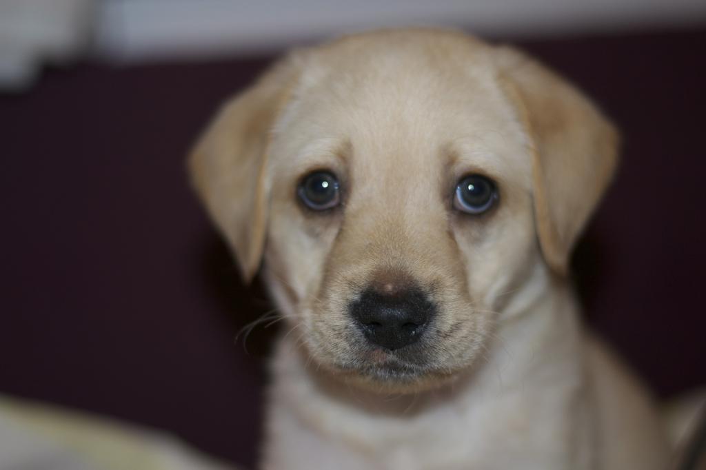  photo DSC_0268_zps09e4bc2a.jpg