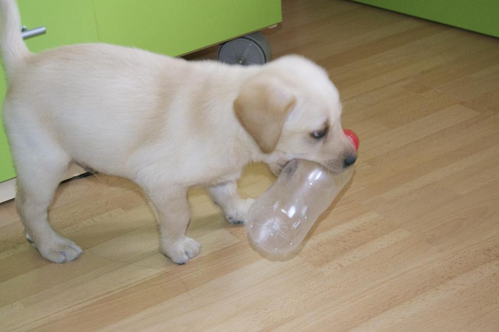  photo DSC_0478_zpsc53e4f49.jpg