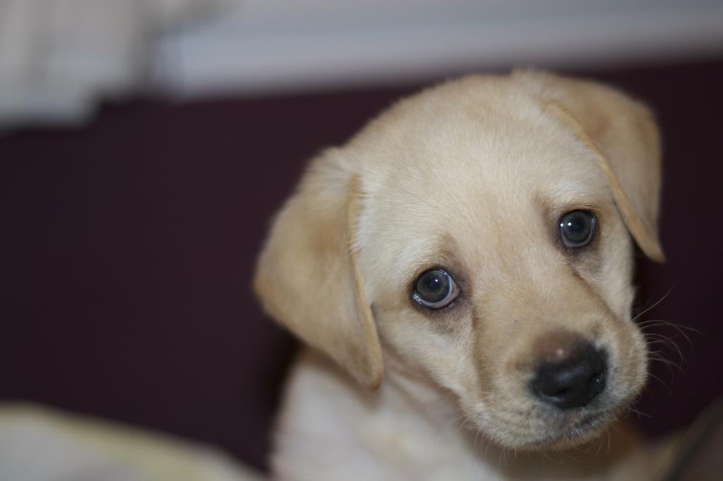  photo DSC_0272_zps19b157a7.jpg