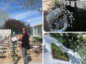 Descubriendo Jardines Finca Fuentepizarro