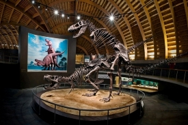 18 DE MAYO DÍA INTERNACIONAL DE LOS MUSEOS