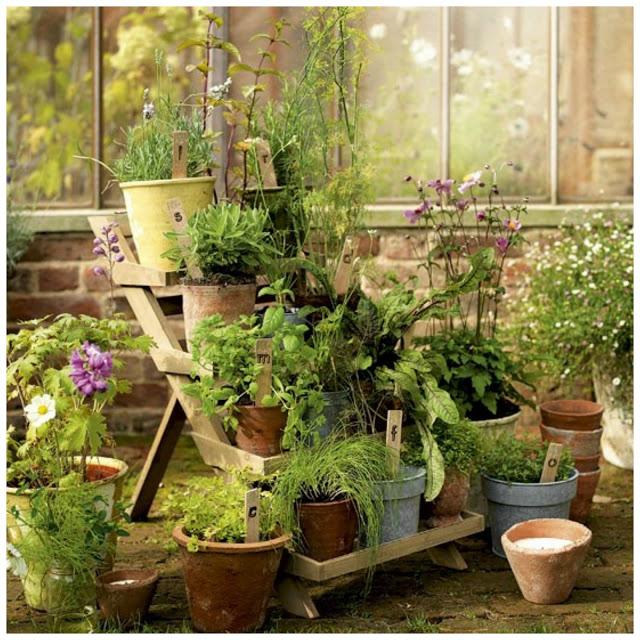 en el jardín - I'm in the garden