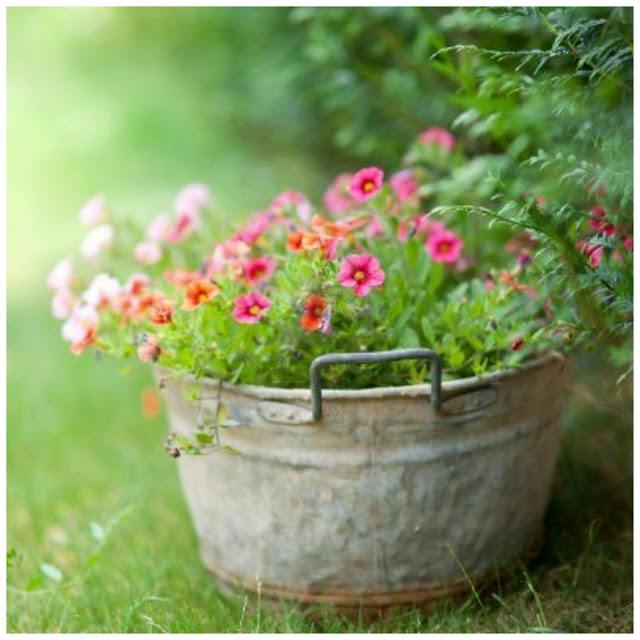 en el jardín - I'm in the garden