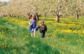 alergia1 La excesiva higiene en los niños y la alergia