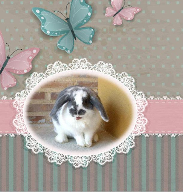 Creaciones con mucho love....PARES NONES!!!