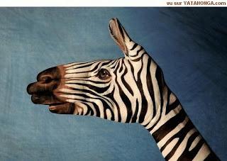 Imagenes de animales realizadas con las manos sorprendentes (ideales para trabajar con los pequenos) Todas las imagenes son de boletin gremio publicitario