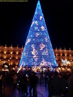 Iluminación 2010/イルミネーション2010