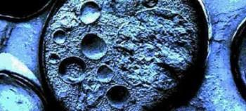 Todas nuestras células mantienen un reloj biológico Todas nuestras células mantienen un reloj biológico