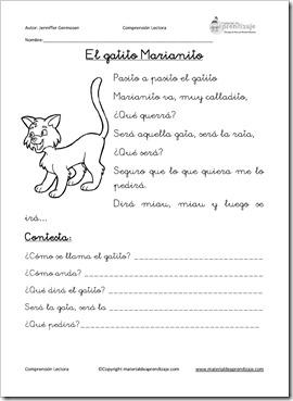 El gatito marianito_bn