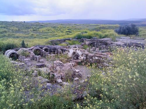 Vegetación cubriendo los pocos restos excavados en Cástulo