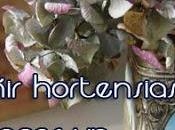 Cómo teñir hortensias hacer topiario