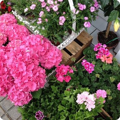 ES PRIMAVERA