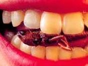 ¿Comer insectos para acabar hambre?
