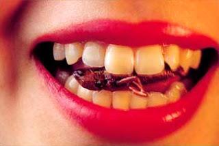 ¿Comer insectos para acabar con el hambre?