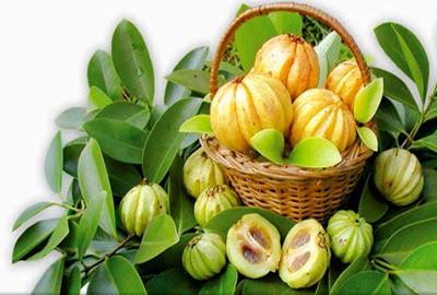 Garcinia Cambogia extracto (HCA). Bajar de peso