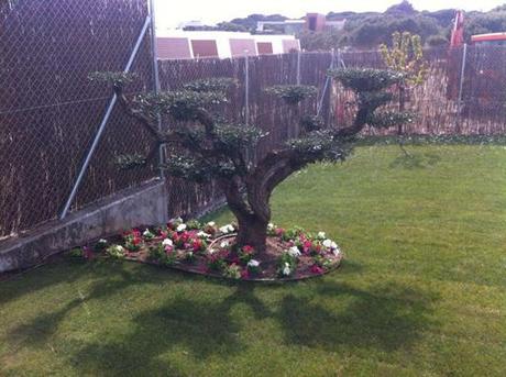 A-cero presenta la vivienda piloto de La Finca Las Marías ya ajardinada