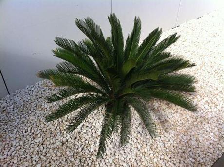 A-cero presenta la vivienda piloto de La Finca Las Marías ya ajardinada