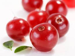 arandanos1 Arándanos rojos contra la cistitis y otras bacterias en el organismo