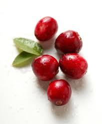 arandanos3 Arándanos rojos contra la cistitis y otras bacterias en el organismo