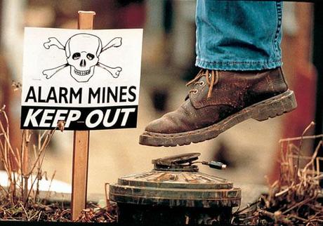 Abejas que detectan minas antipersona