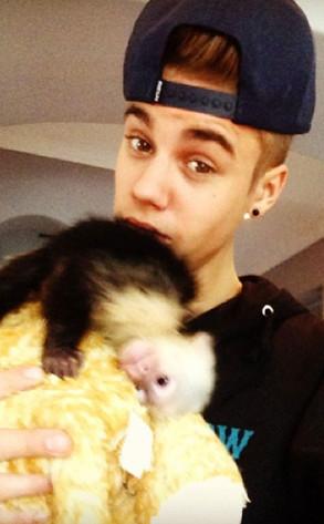 Justin Bieber deberá pagar unos miles de dólares para recuperar a su mono