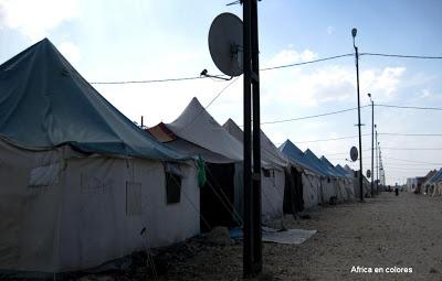 254. Desde la frontera turca