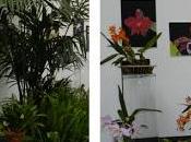 OrquiMadrid 2013. Parte Exposición